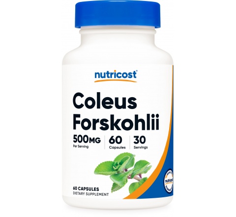 COLEUS  FORSKOHLILI Capsules (500 MG) (60 Capsules)-Hổ Trợ đốt cháy chất béo-Tăng mật độ xương & Testosterone